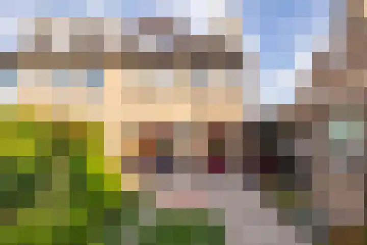 Leeuweriklaan 28 Hoogeveen thumbnail 53