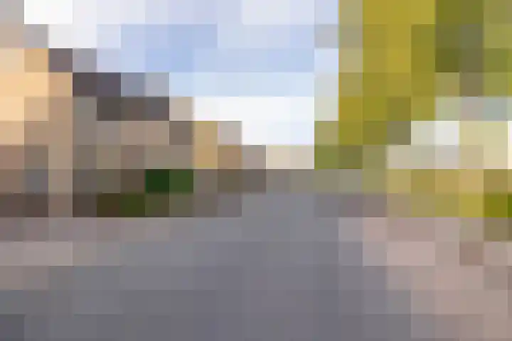 Leeuweriklaan 28 Hoogeveen thumbnail 61
