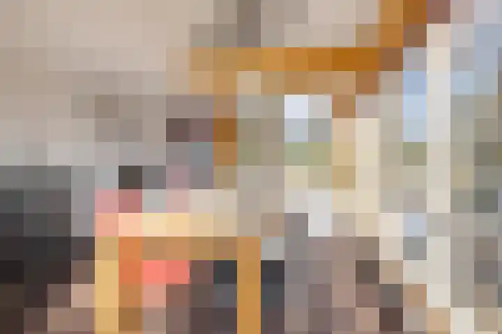 Leeuweriklaan 3 Boekel thumbnail 10