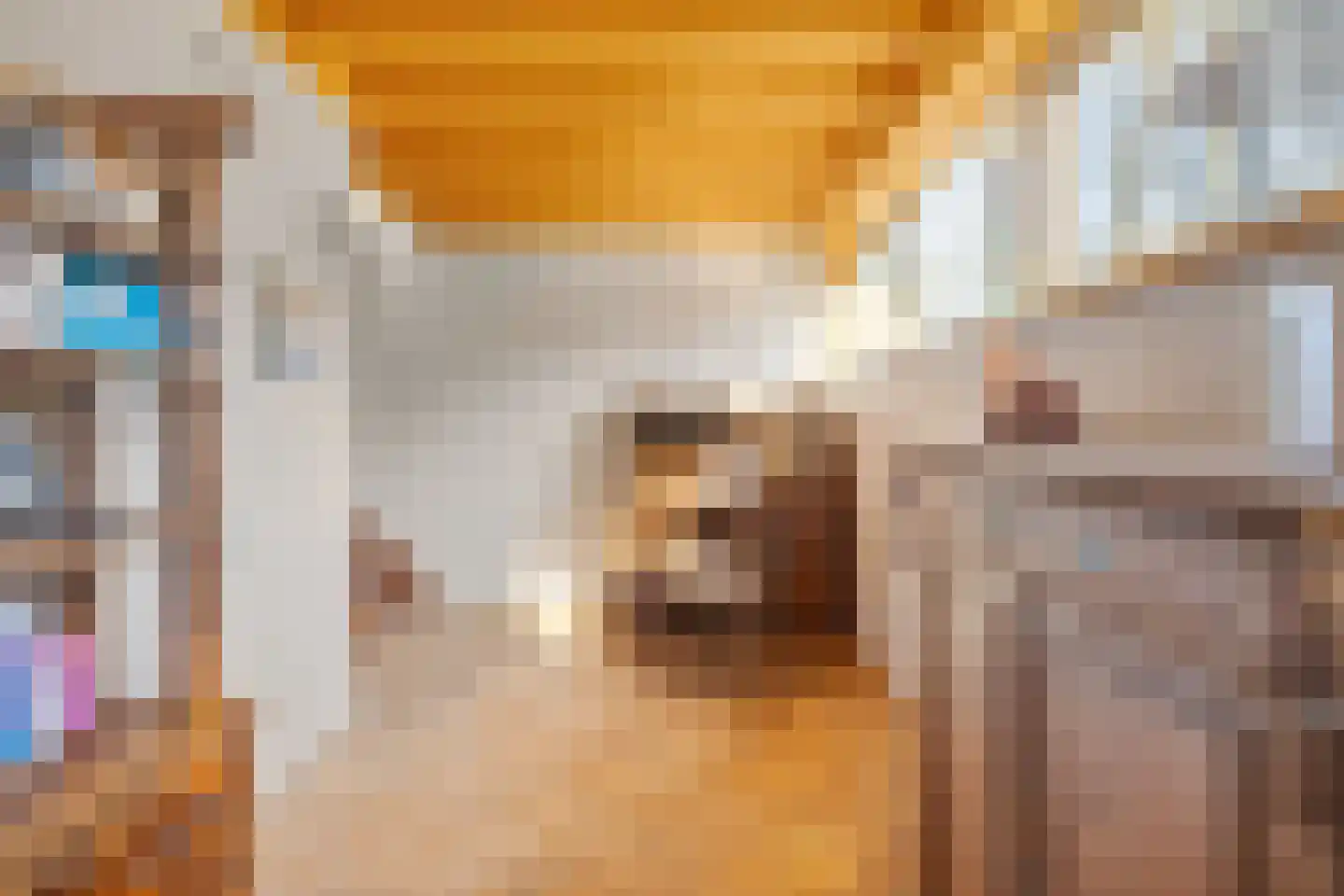 Leeuweriklaan 3 Boekel thumbnail 11