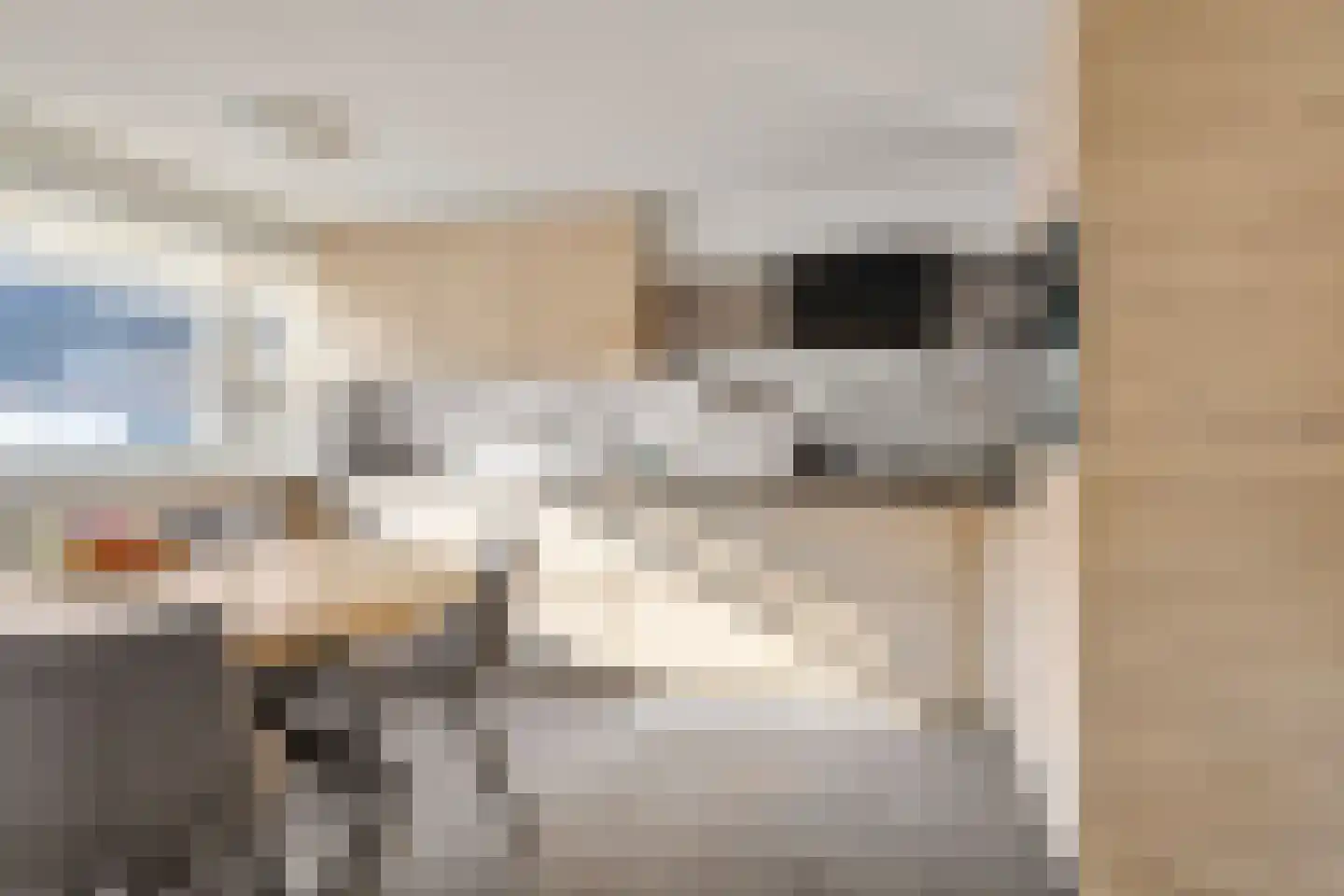 Leeuweriklaan 3 Boekel thumbnail 13