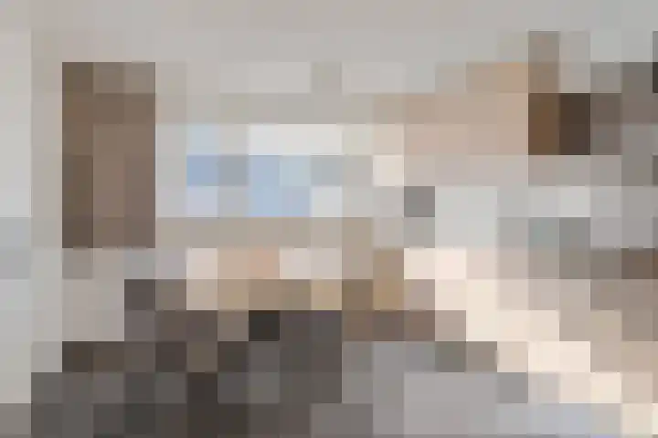Leeuweriklaan 3 Boekel thumbnail 14