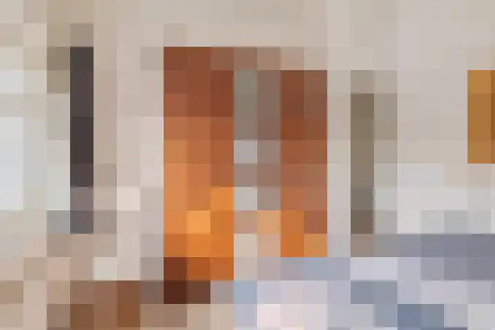 Leeuweriklaan 3 Boekel thumbnail 22