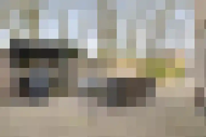 Leeuweriklaan 3 Boekel thumbnail 26