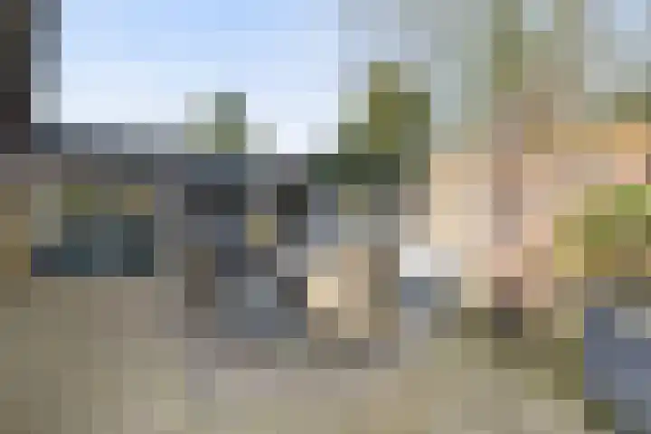 Leeuweriklaan 3 Boekel thumbnail 27