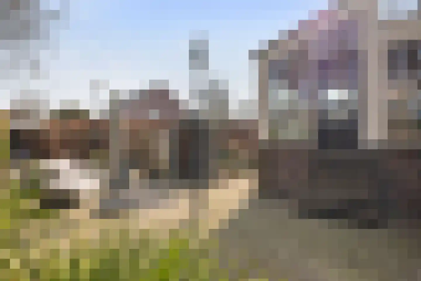 Leeuweriklaan 3 Boekel thumbnail 29