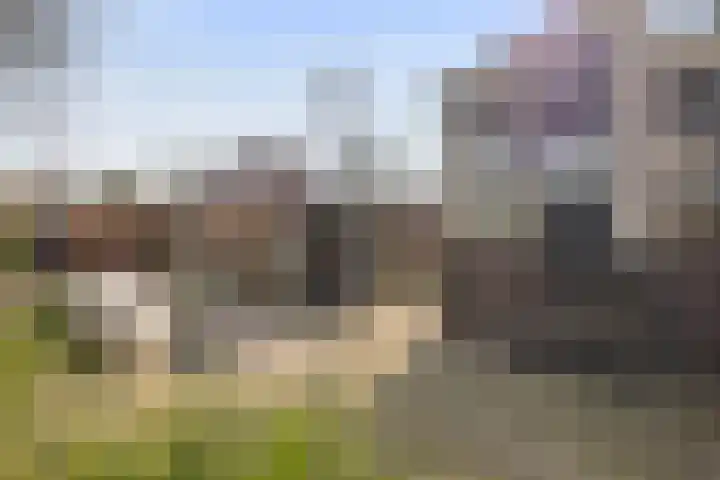 Leeuweriklaan 3 Boekel thumbnail 29