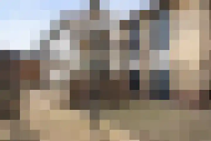 Leeuweriklaan 3 Boekel thumbnail 30