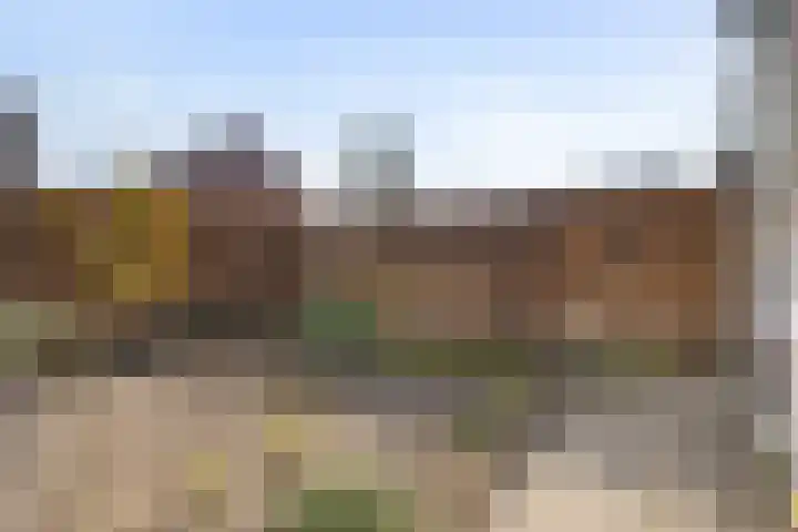 Leeuweriklaan 3 Boekel thumbnail 32