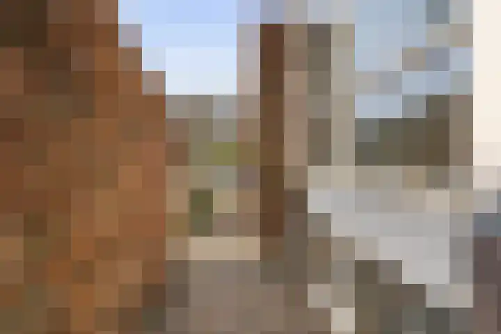 Leeuweriklaan 3 Boekel thumbnail 34