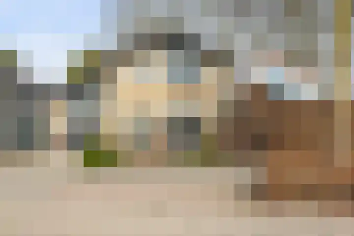 Leeuweriklaan 3 Boekel thumbnail 36