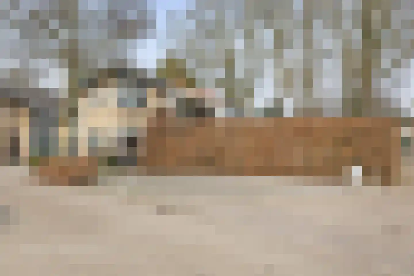 Leeuweriklaan 3 Boekel thumbnail 37