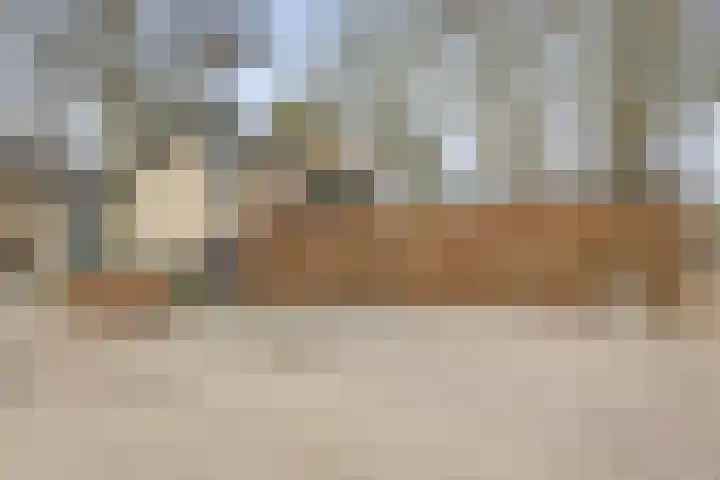 Leeuweriklaan 3 Boekel thumbnail 37