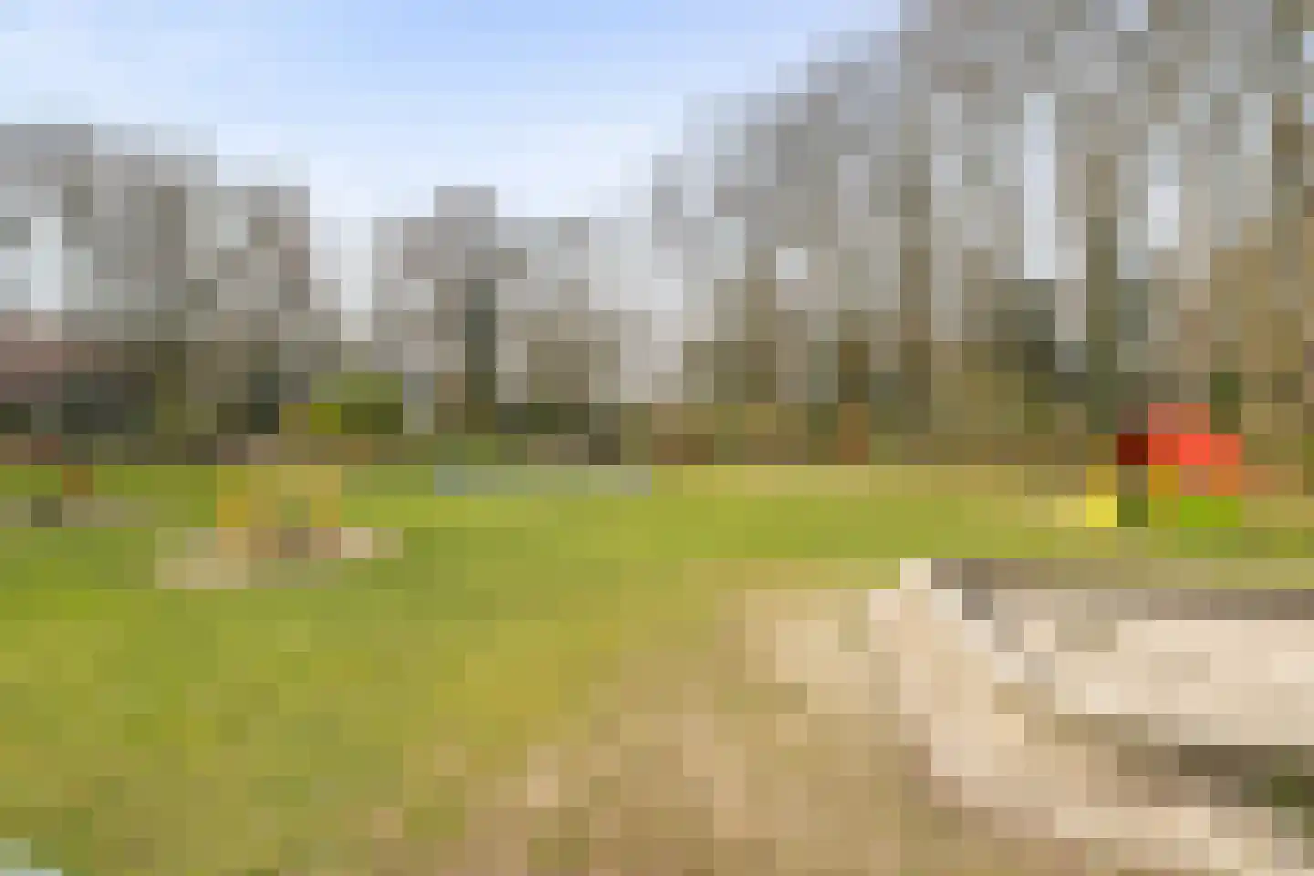Leeuweriklaan 3 Boekel thumbnail 39