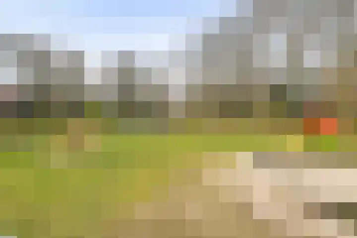 Leeuweriklaan 3 Boekel thumbnail 39