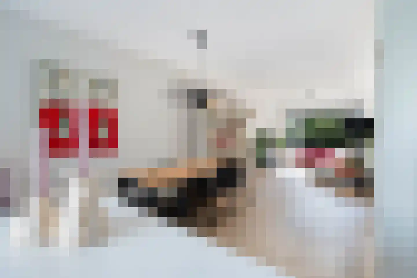Leeuweriklaan 3 Rotterdam thumbnail 13
