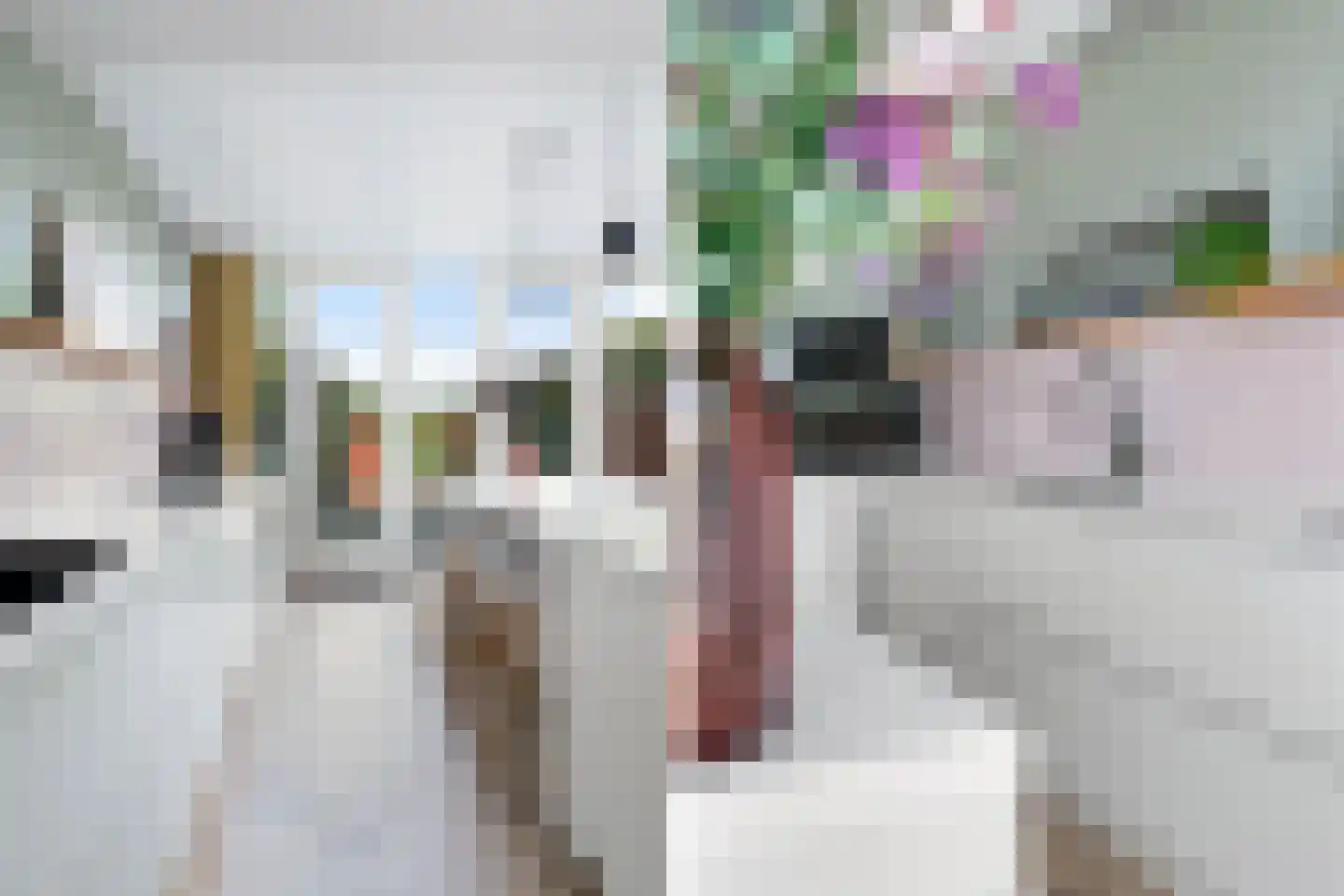 Leeuweriklaan 3 Rotterdam thumbnail 15