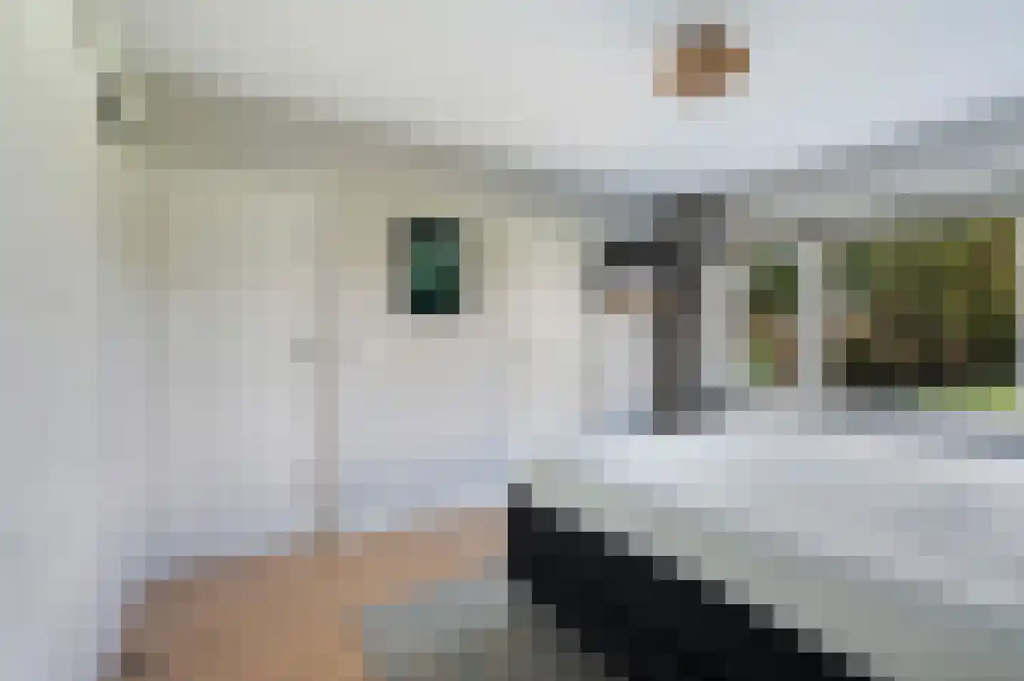 Leeuweriklaan 3 Rotterdam thumbnail 24