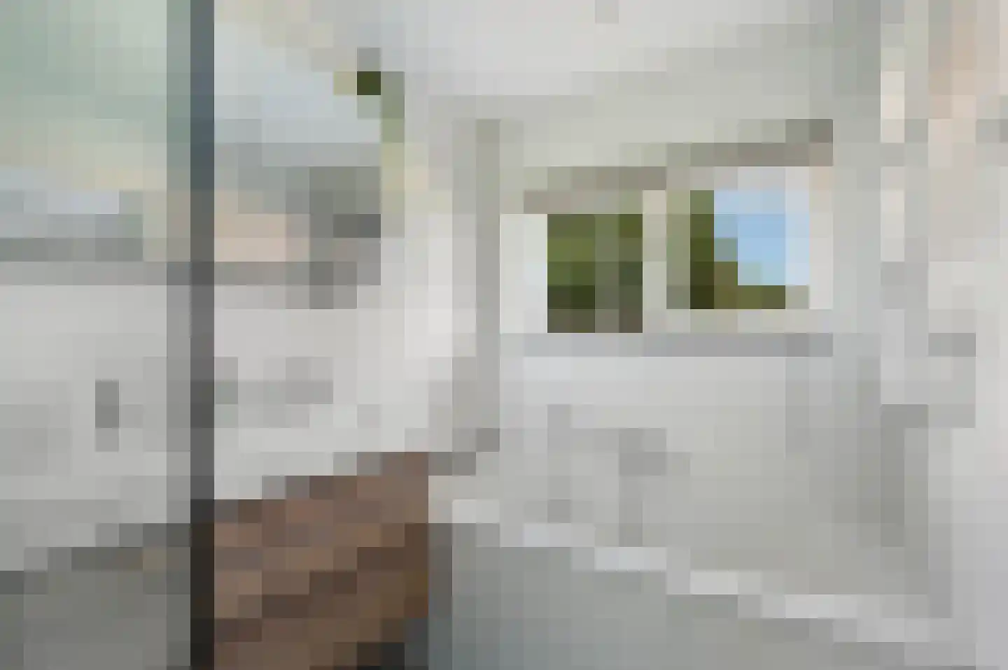 Leeuweriklaan 3 Rotterdam thumbnail 33