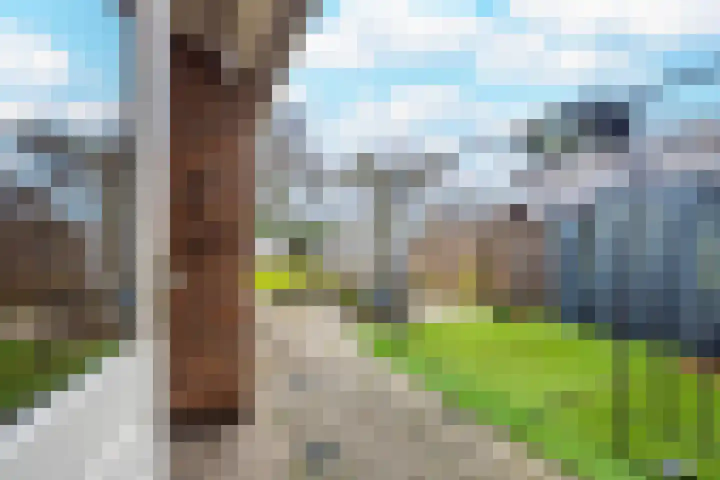 Leeuweriklaan 30 Tiel thumbnail 21