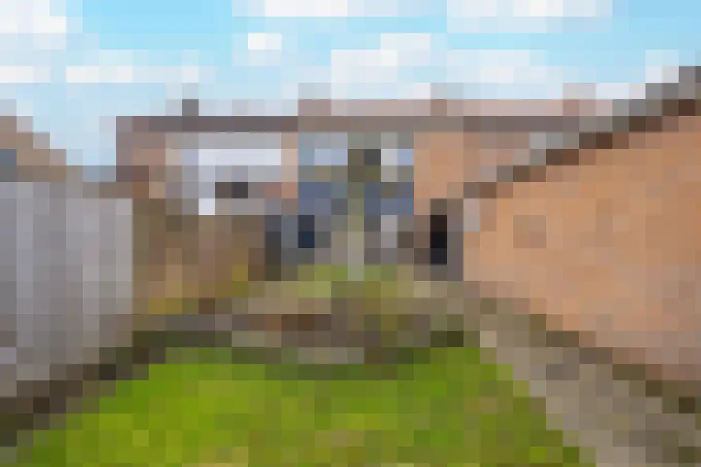 Leeuweriklaan 30 Tiel thumbnail 27