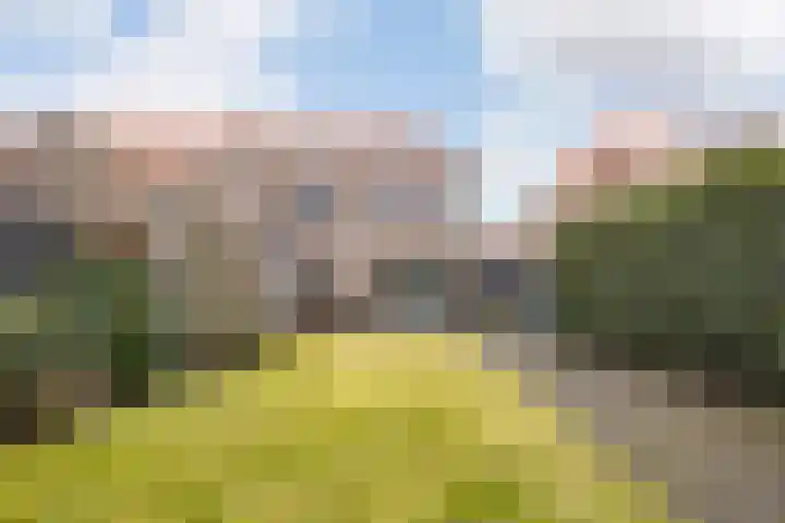 Leeuweriklaan 32 Ede thumbnail 47