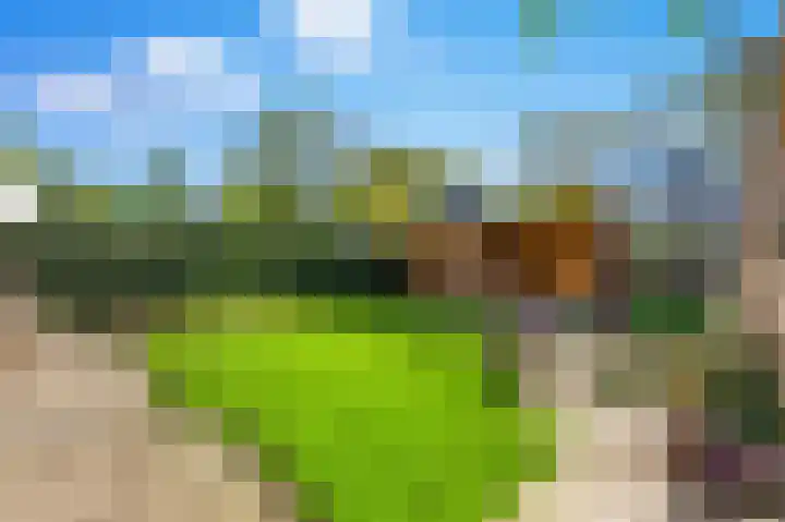 Leeuweriklaan 34 Rotterdam thumbnail 4