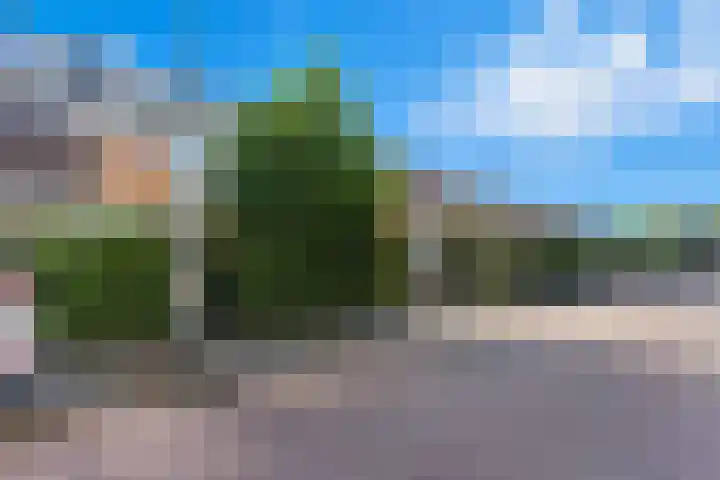 Leeuweriklaan 34 Rotterdam thumbnail 47