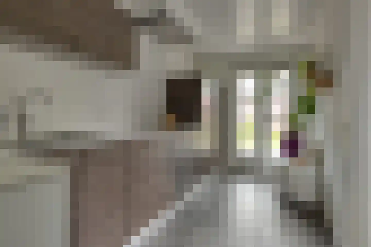 Leeuweriklaan 35 Hapert thumbnail 18