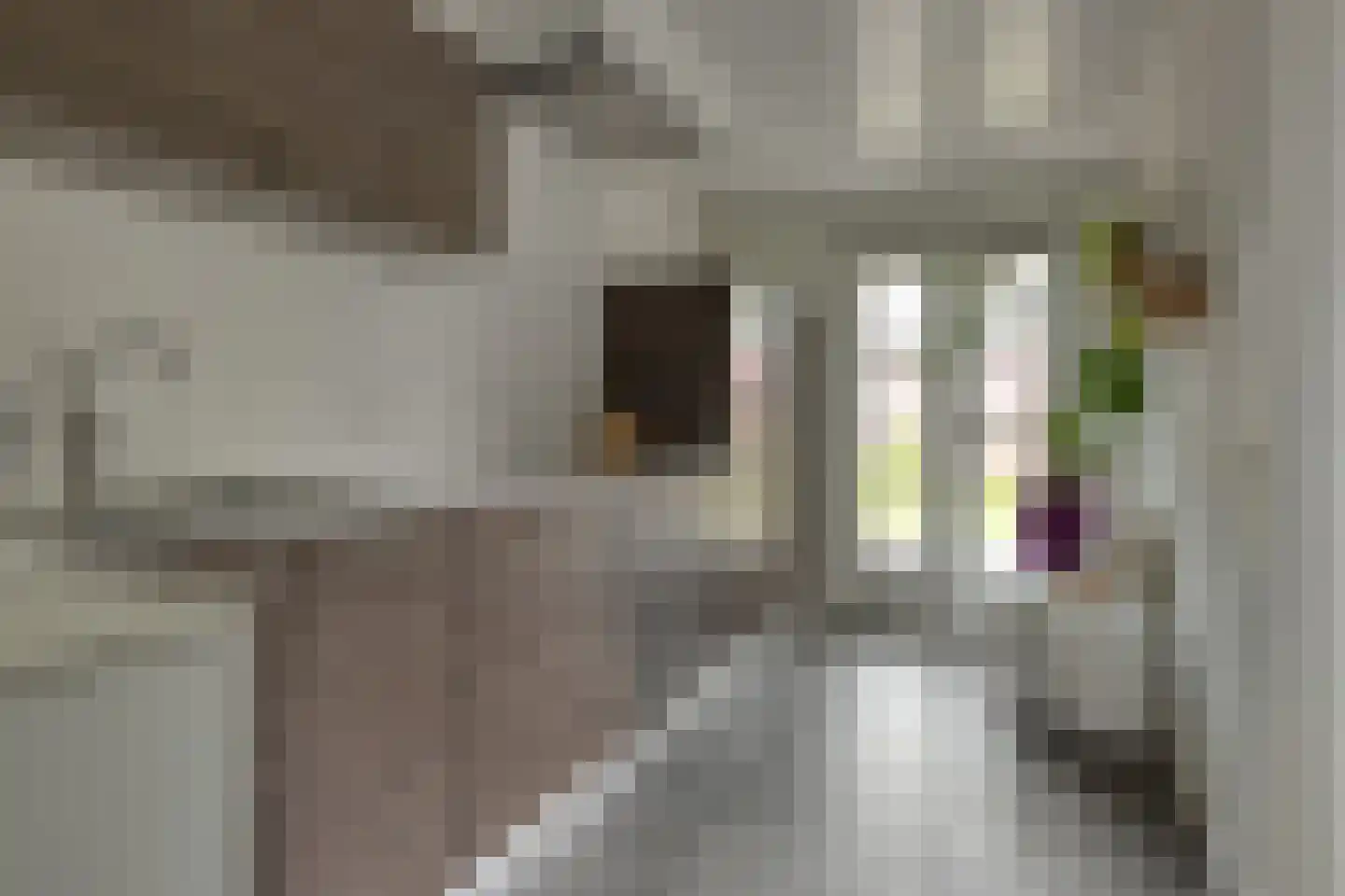 Leeuweriklaan 35 Hapert thumbnail 19