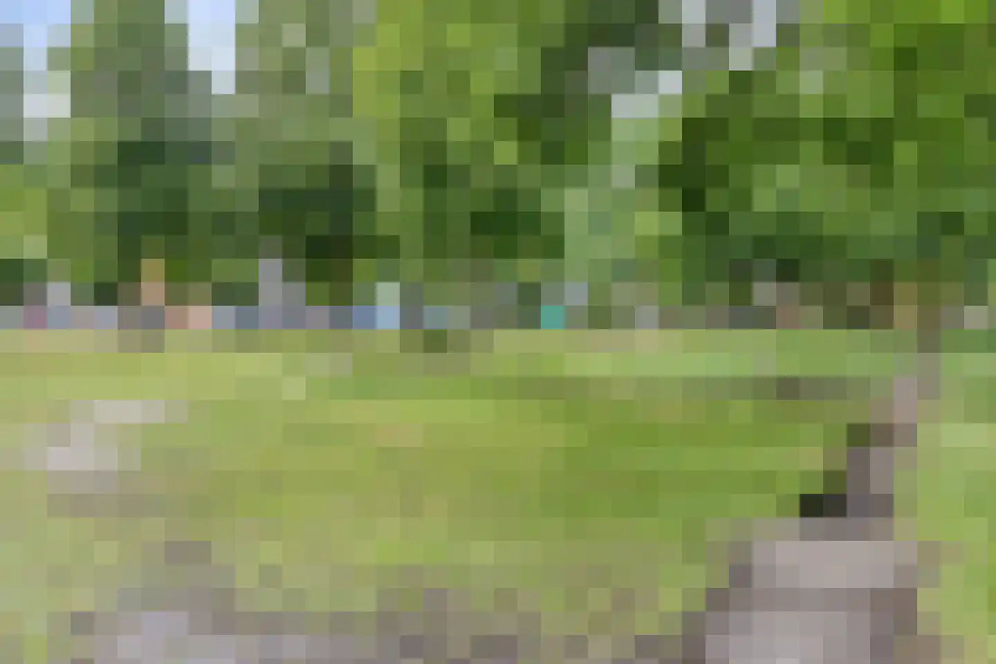 Leeuweriklaan 35 Hapert thumbnail 38