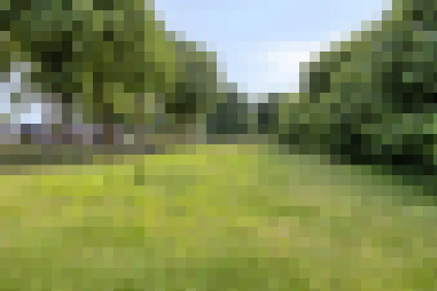 Leeuweriklaan 35 Hapert thumbnail 41
