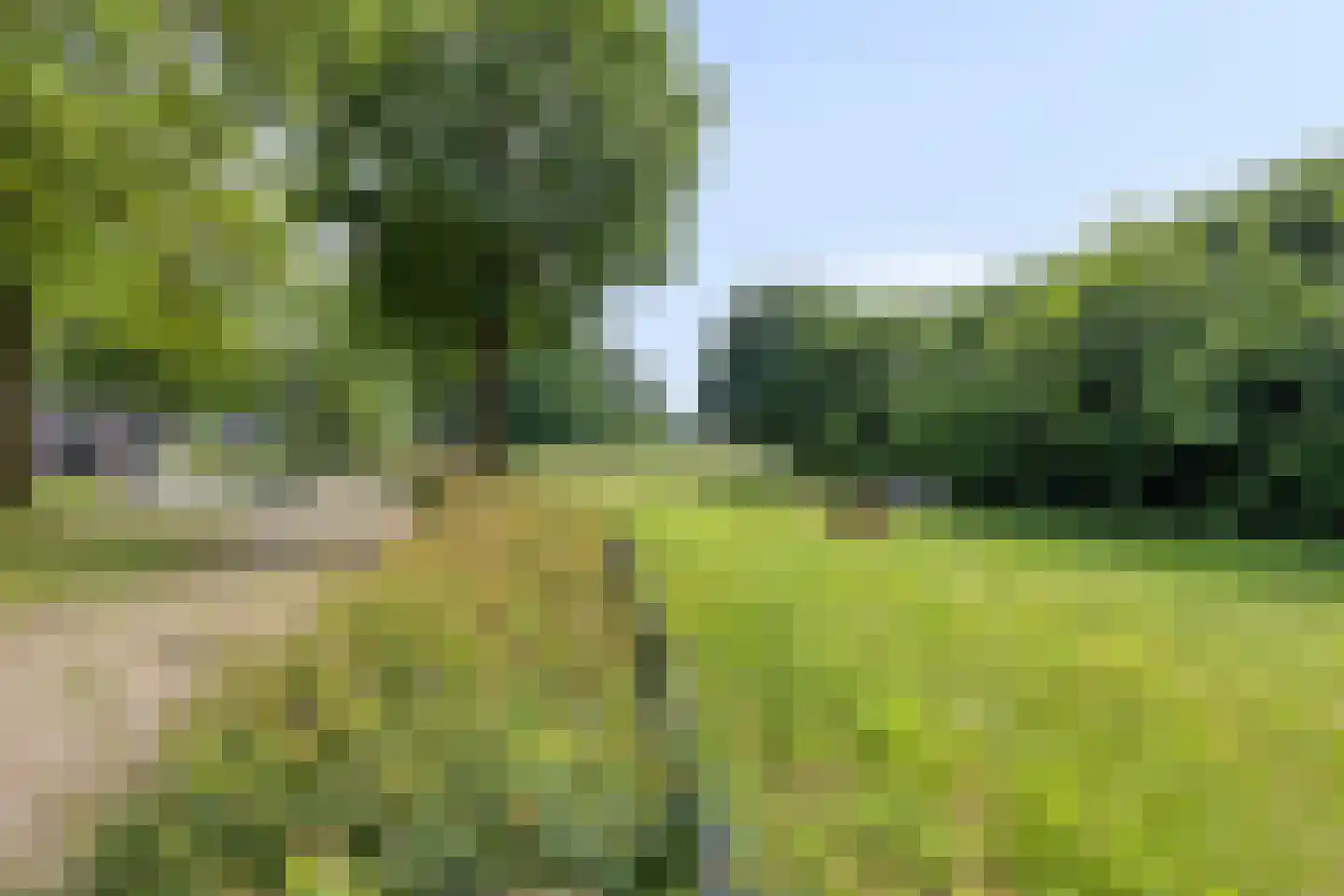 Leeuweriklaan 35 Hapert thumbnail 42