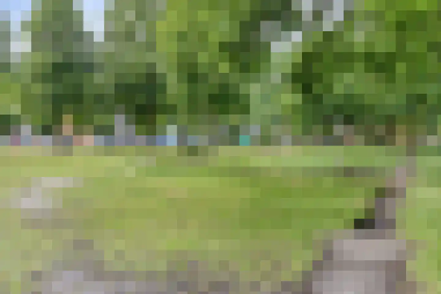 Leeuweriklaan 35 Hapert thumbnail 42