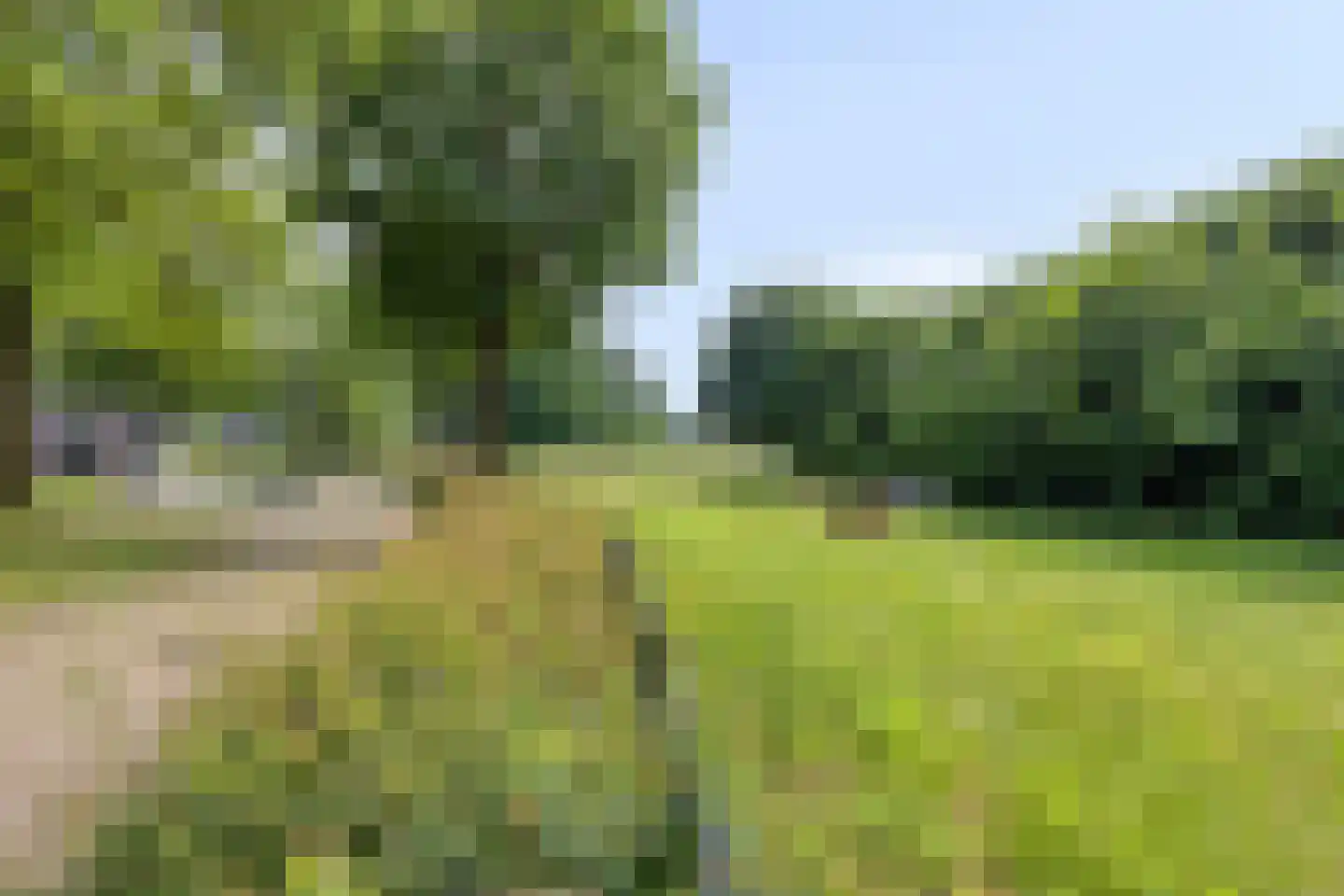 Leeuweriklaan 35 Hapert thumbnail 46