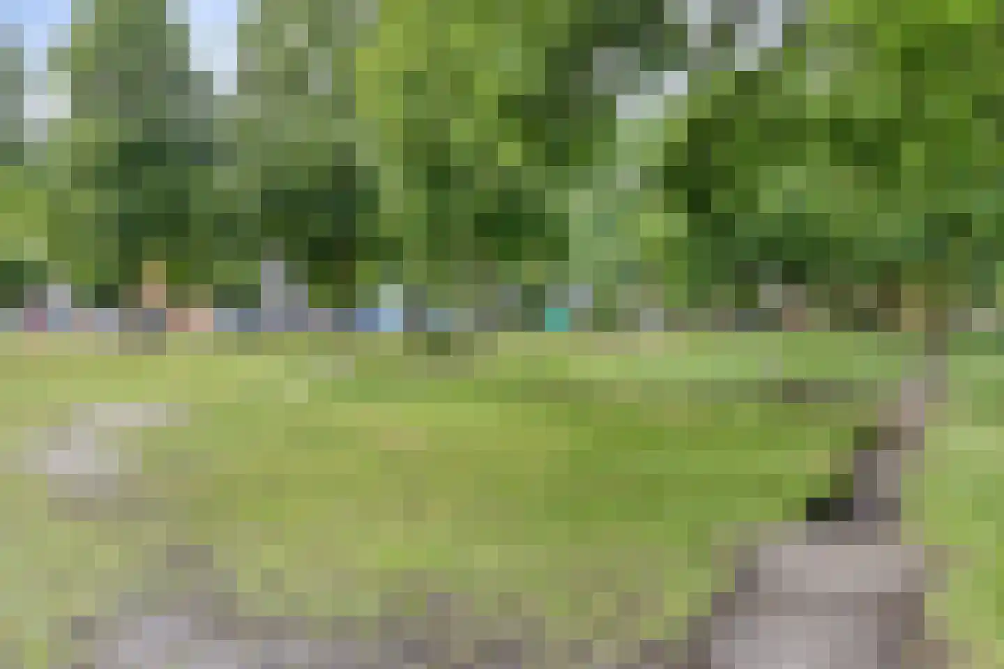 Leeuweriklaan 35 Hapert thumbnail 47