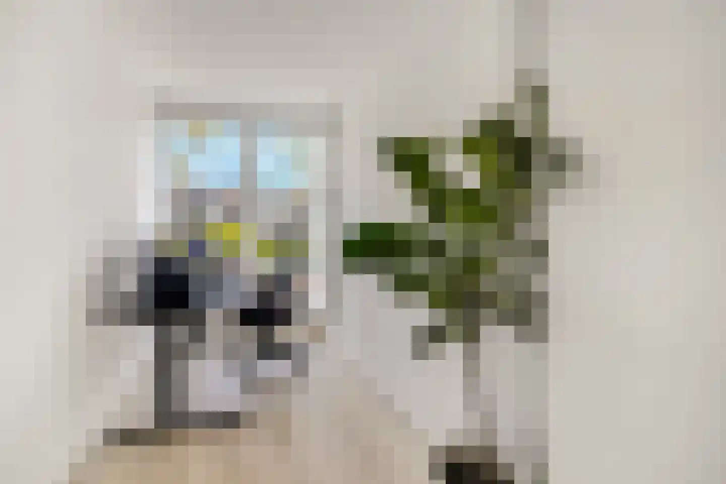 Leeuweriklaan 36 Rotterdam thumbnail 22