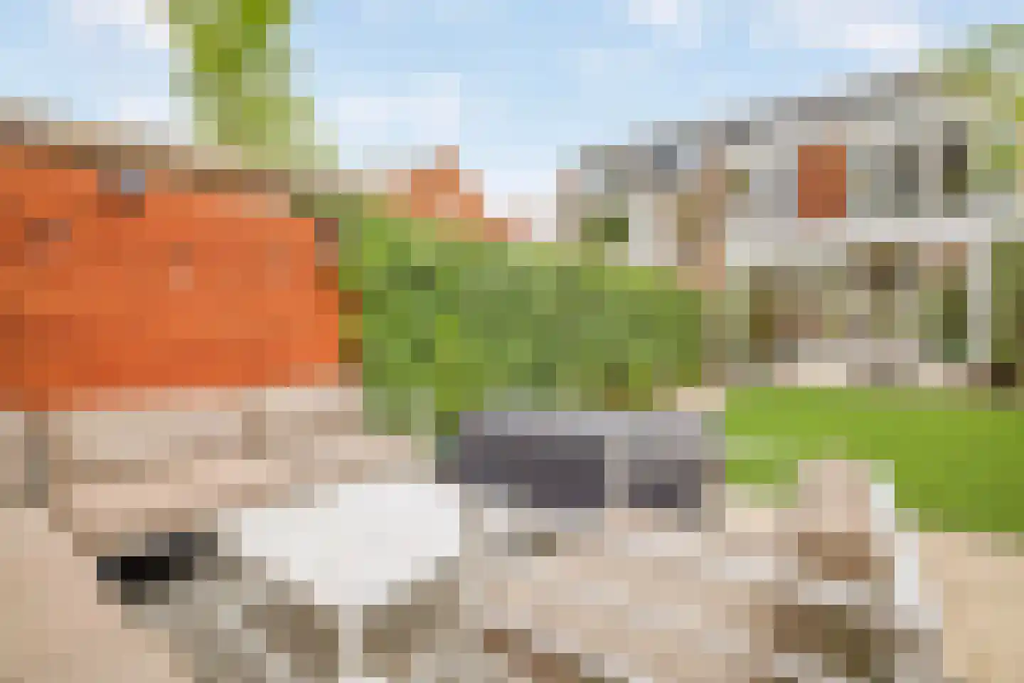 Leeuweriklaan 36 Rotterdam thumbnail 40