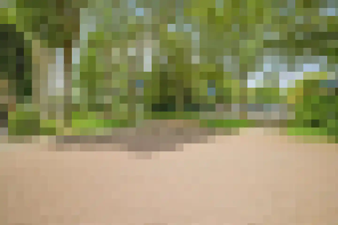 Leeuweriklaan 36 Rotterdam thumbnail 43