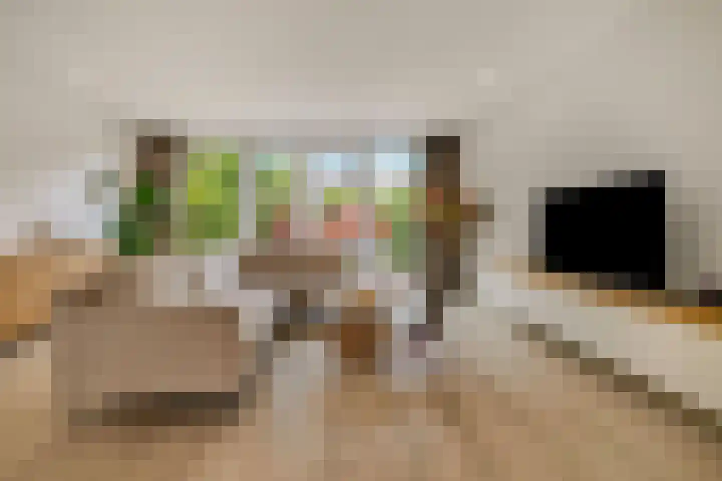 Leeuweriklaan 36 Rotterdam thumbnail 7