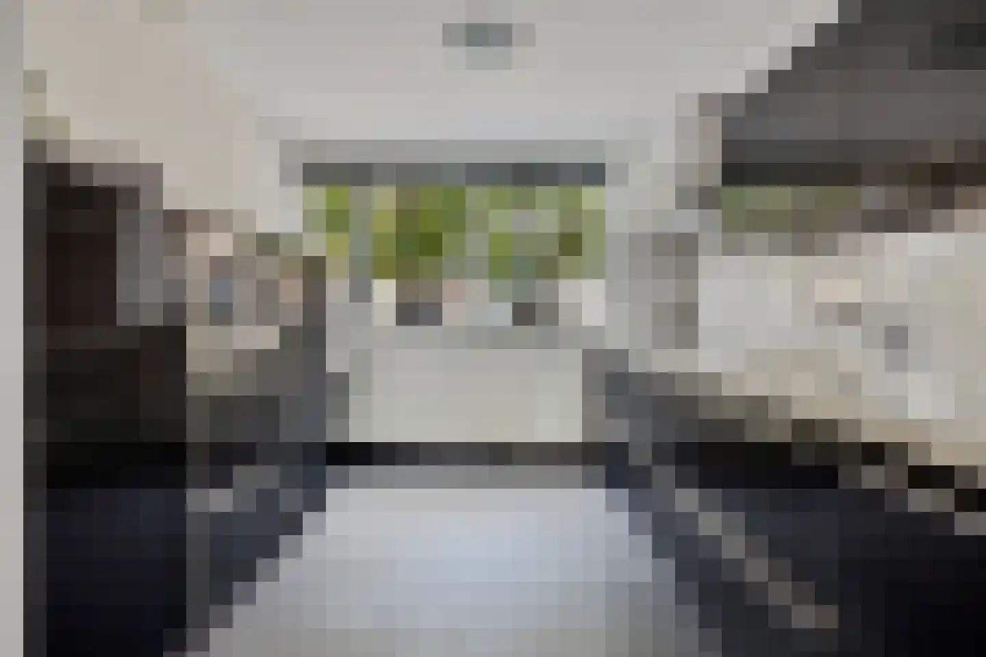Leeuweriklaan 40 De Lier thumbnail 15