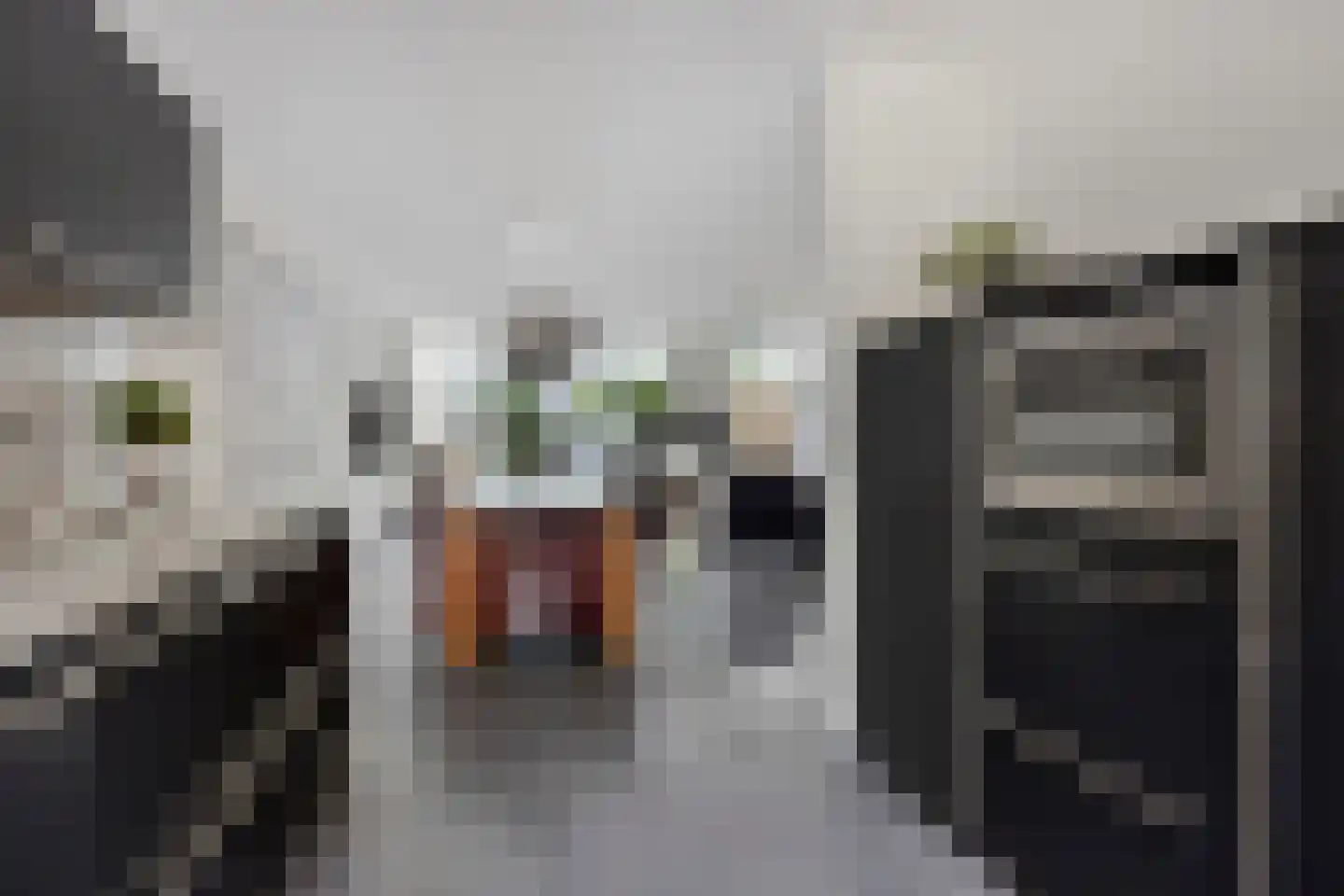 Leeuweriklaan 40 De Lier thumbnail 16