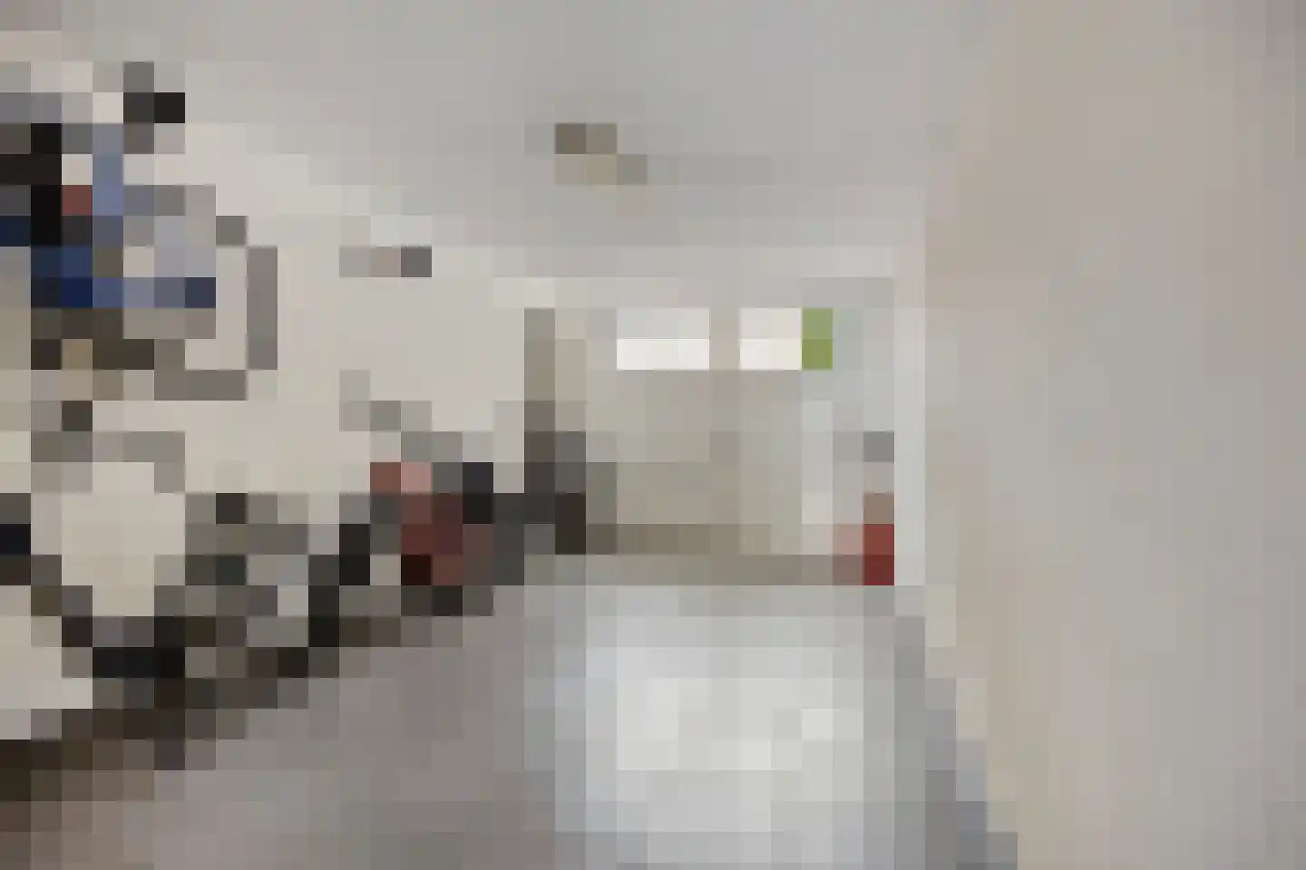 Leeuweriklaan 40 De Lier thumbnail 18