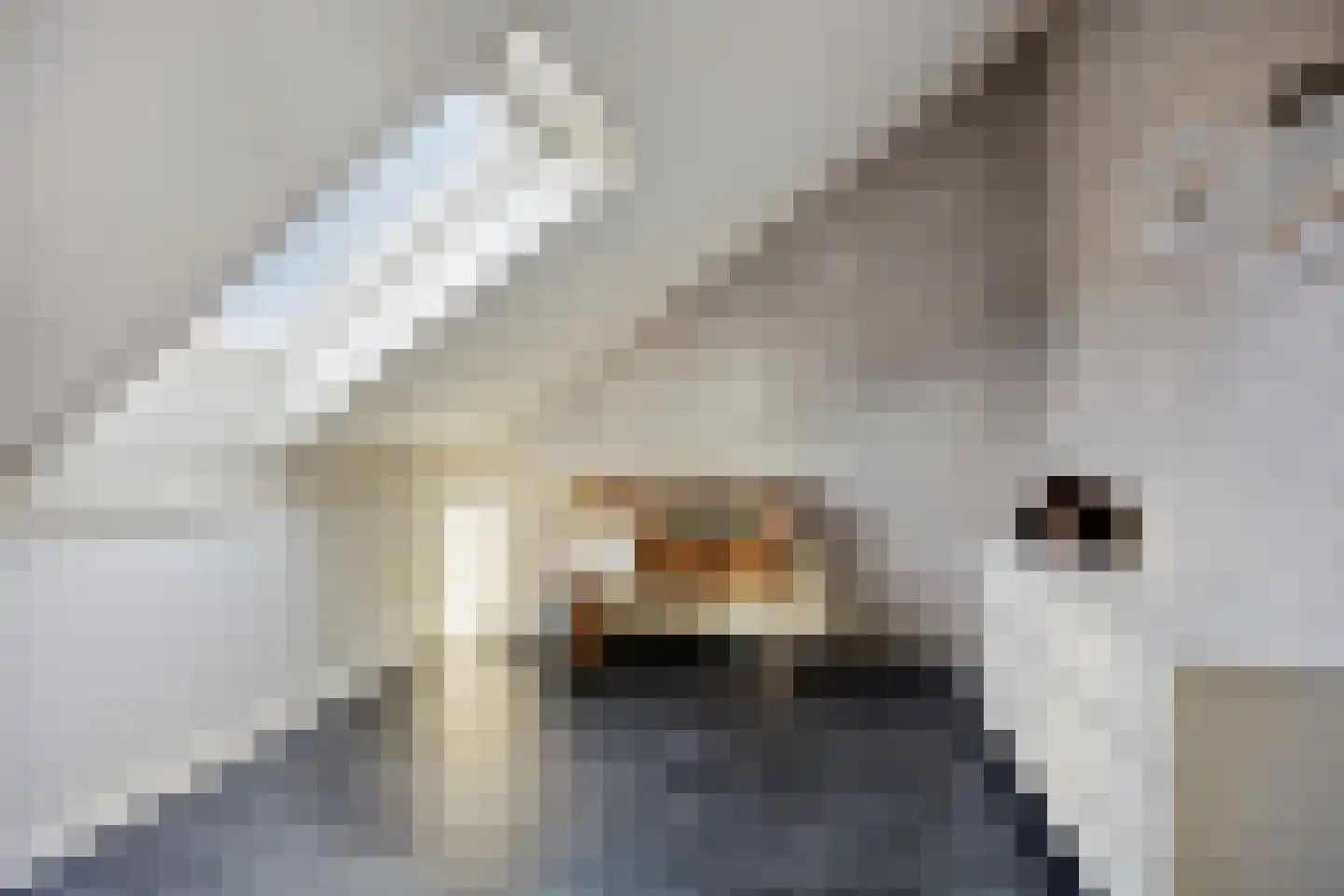 Leeuweriklaan 40 De Lier thumbnail 29