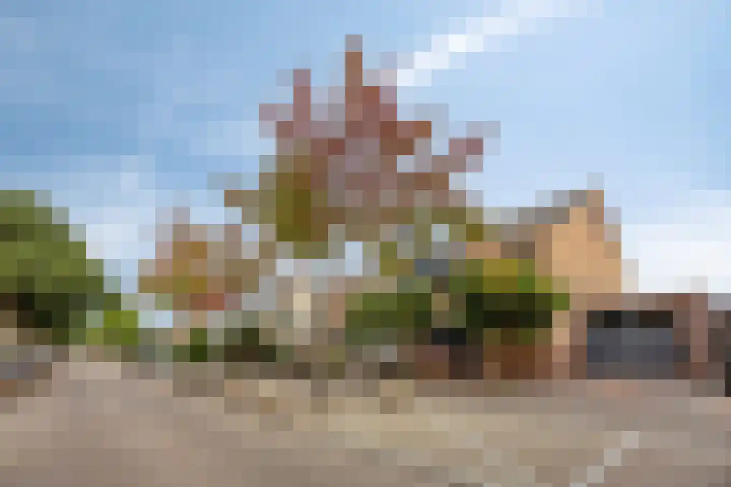 Leeuweriklaan 40 De Lier foto 3