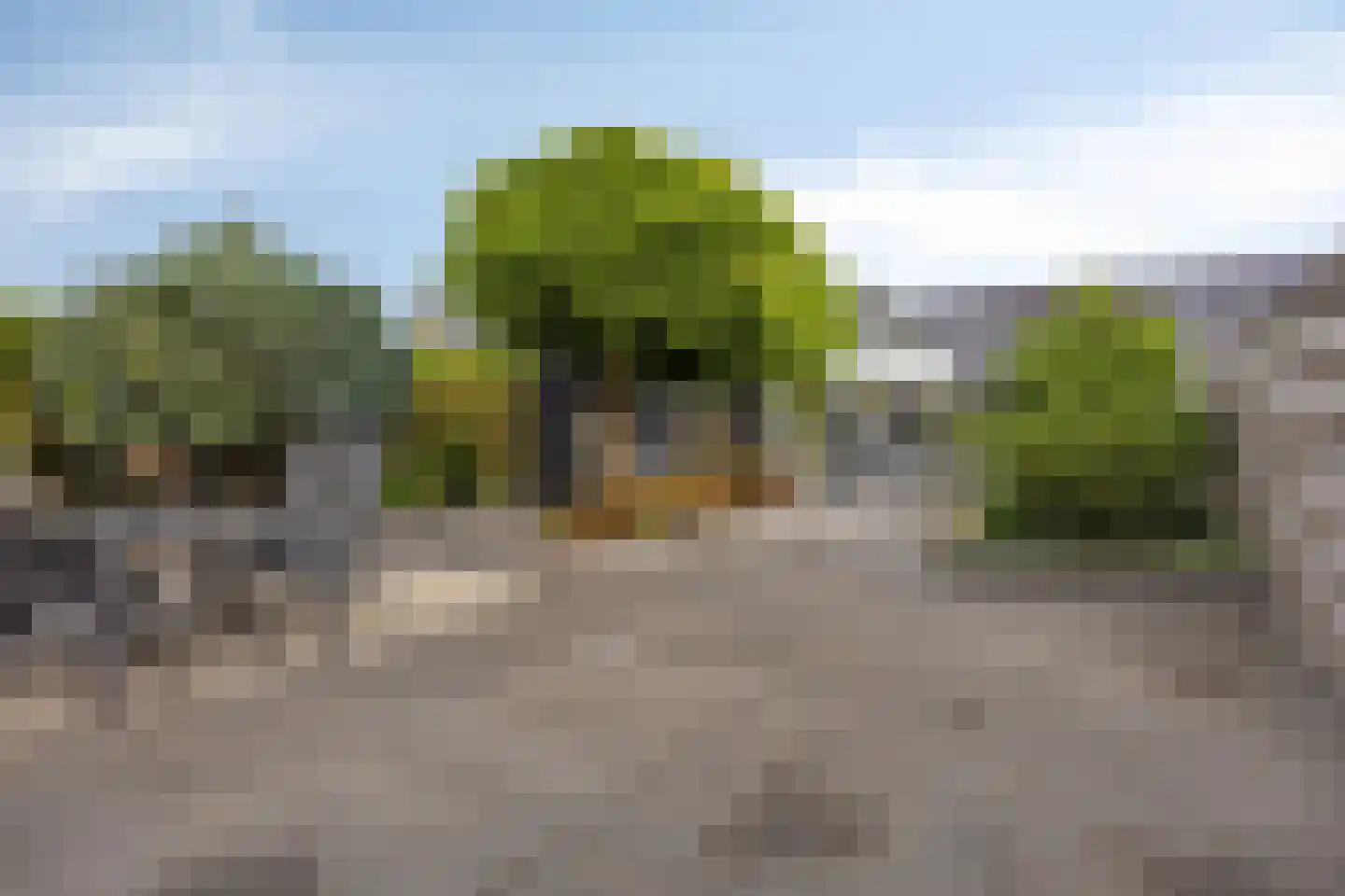 Leeuweriklaan 40 De Lier thumbnail 32