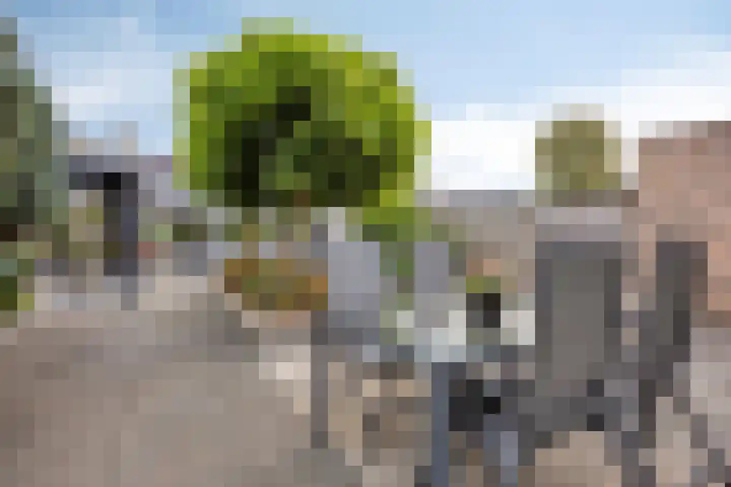 Leeuweriklaan 40 De Lier thumbnail 33