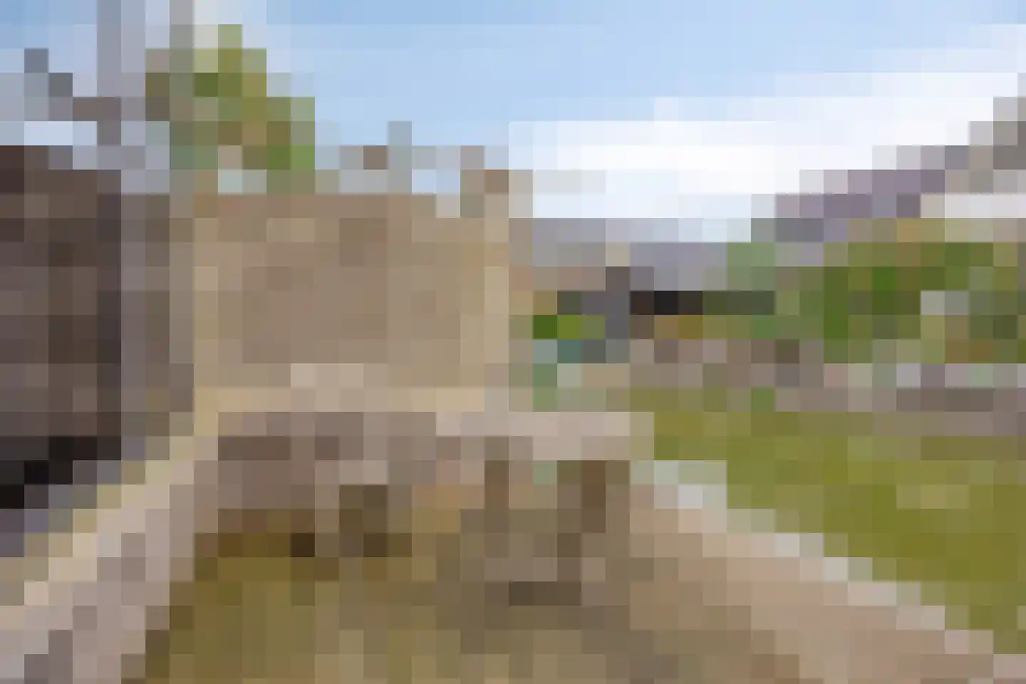 Leeuweriklaan 40 De Lier thumbnail 38