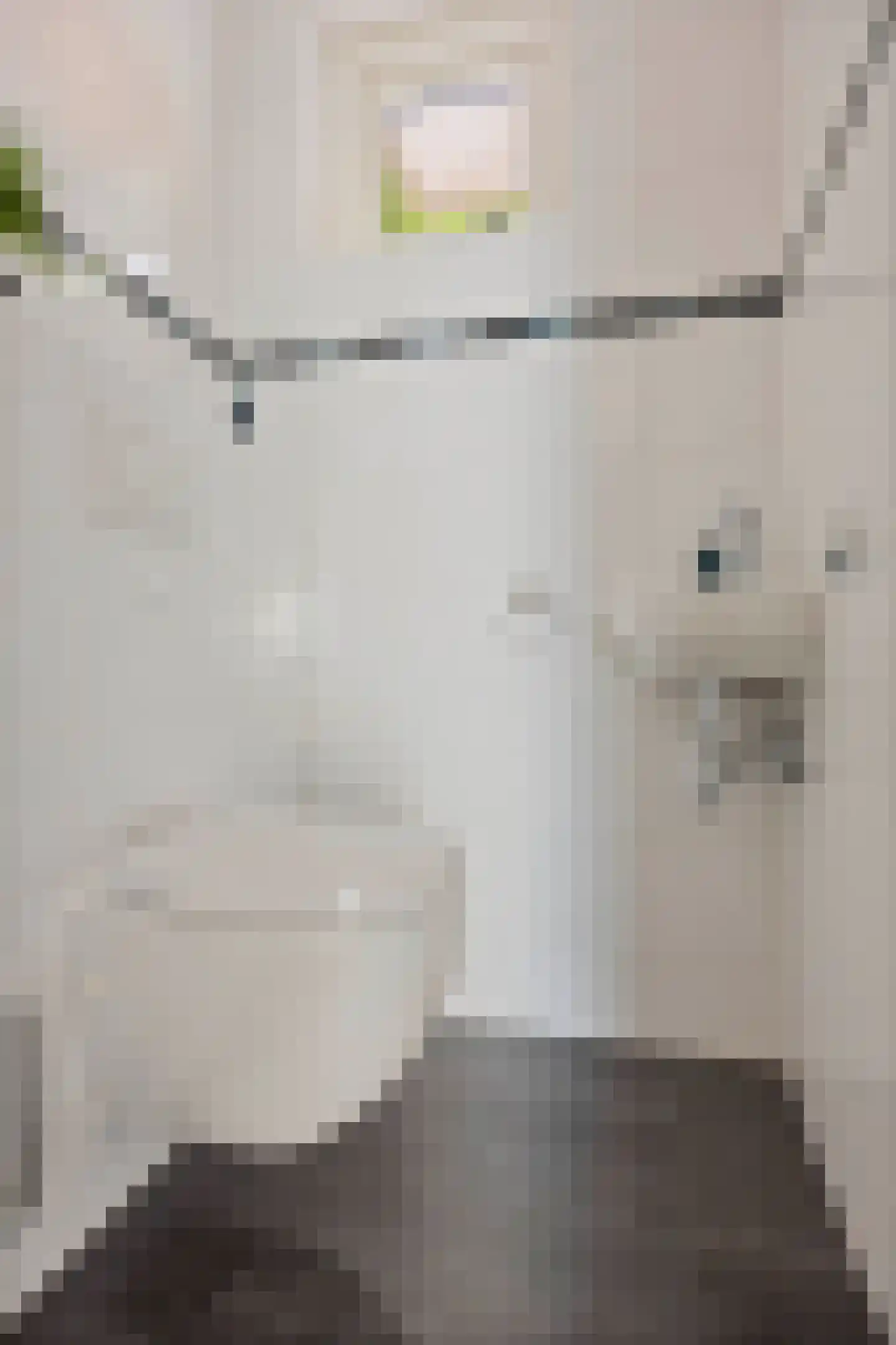 Leeuweriklaan 40 De Lier thumbnail 5