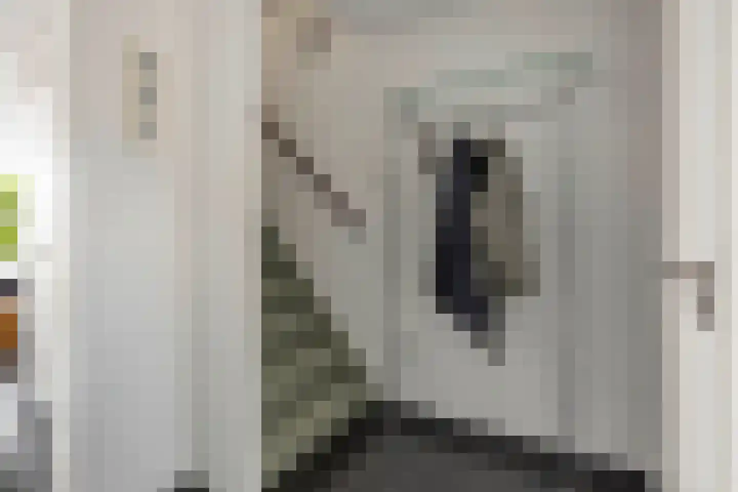 Leeuweriklaan 40 De Lier thumbnail 6